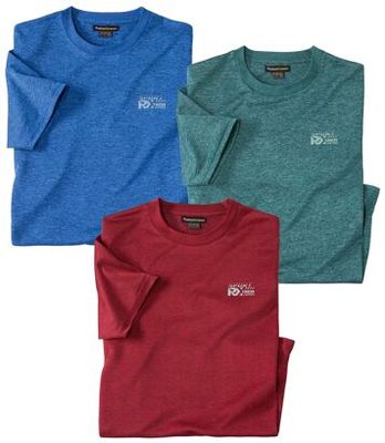 T-shirt męski casual Atlas For Men ze sklepu: Atlas For Men w kategorii: T-shirty męskie - zdjęcie 15A918-39C-13902_18886175