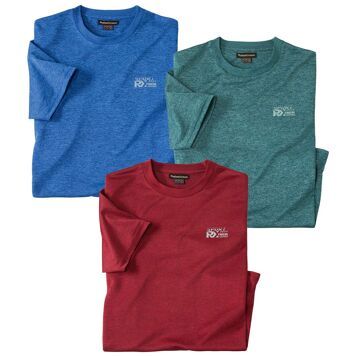 T-shirt męski casual Atlas For Men ze sklepu: Atlas For Men w kategorii: T-shirty męskie - zdjęcie 15A918-39C-13902_18886175