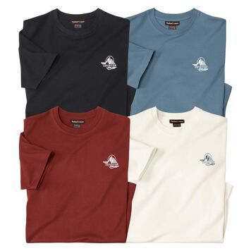 T-shirt męski Atlas For Men ze sklepu: Atlas For Men w kategorii: T-shirty męskie - zdjęcie 15A918-39C-13902_18886378