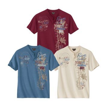 T-shirt męski wiosenny Atlas For Men ze sklepu: Atlas For Men w kategorii: T-shirty męskie - zdjęcie 15A918-39C-13902_18886478