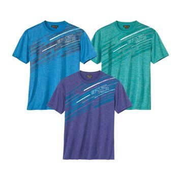T-shirt męski na wiosnę Atlas For Men ze sklepu: Atlas For Men w kategorii: T-shirty męskie - zdjęcie 15A918-39C-13902_19234326