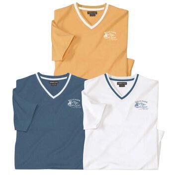 T-shirt męski casual Atlas For Men ze sklepu: Atlas For Men w kategorii: T-shirty męskie - zdjęcie 15A918-39C-13902_19235024