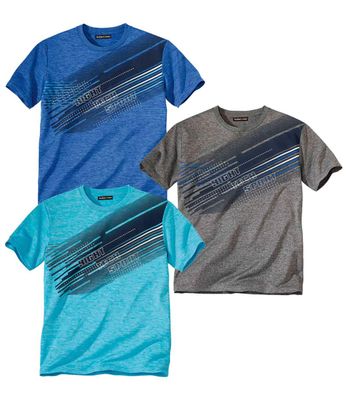 T-shirt męski w sportowym stylu Atlas For Men ze sklepu: Atlas For Men w kategorii: T-shirty męskie - zdjęcie 15A918-39C-13902_9386235