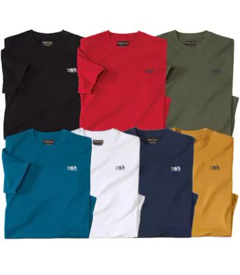 T-shirt męski Atlas For Men ze sklepu: Atlas For Men w kategorii: T-shirty męskie - zdjęcie 15A918-39C-13902_9964923