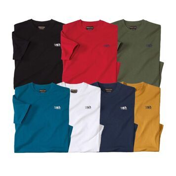 T-shirt męski Atlas For Men ze sklepu: Atlas For Men w kategorii: T-shirty męskie - zdjęcie 15A918-39C-13902_9964923
