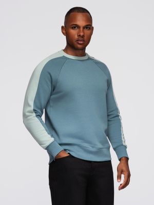 Bluza męska młodzieżowa Ombre Clothing ze sklepu: ombre w kategorii: Bluzy męskie - zdjęcie 2F79836-D9D-2071_129423