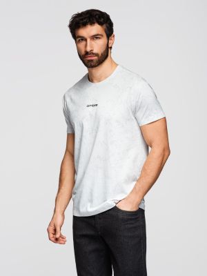 Ombre Clothing - T-shirt męski w stylu młodzieżowym ze sklepu: ombre w kategorii: T-shirty męskie - zdjęcie 2F79836-D9D-2071_133713