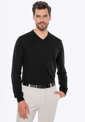 WITTCHEN - Sweter męski ze sklepu: WITTCHEN w kategorii: Swetry męskie - zdjęcie 360172-0C5-11295_M0-99-104-1