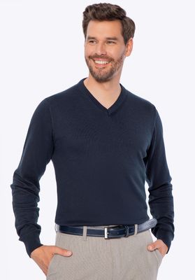Sweter męski casual WITTCHEN ze sklepu: WITTCHEN w kategorii: Swetry męskie - zdjęcie 360172-0C5-11295_M0-99-104-N