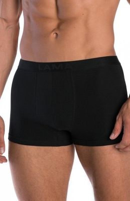Majtki męskie lama ze sklepu: intimiti.pl w kategorii: Majtki męskie - zdjęcie 3B4B001-93A-4736_149797
