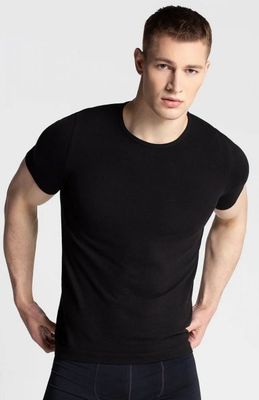 Gatta - T-shirt męski ze sklepu: intimiti.pl w kategorii: T-shirty męskie - zdjęcie 3B4B001-93A-4736_211308