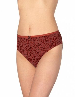 Majtki damskie lama ze sklepu: intimiti.pl w kategorii: Majtki damskie - zdjęcie 3B4B001-93A-4736_248745