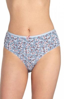 Majtki damskie lama ze sklepu: intimiti.pl w kategorii: Majtki damskie - zdjęcie 3B4B001-93A-4736_248747
