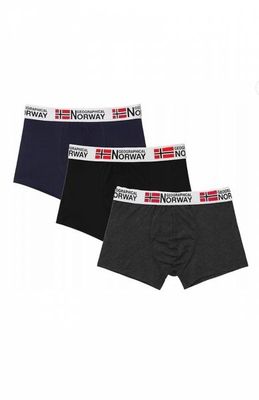 Majtki męskie Geographical Norway ze sklepu: intimiti.pl w kategorii: Majtki męskie - zdjęcie 3B4B001-93A-4736_251257