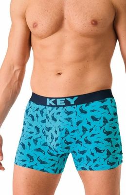 Key - Majtki męskie ze sklepu: intimiti.pl w kategorii: Majtki męskie - zdjęcie 3B4B001-93A-4736_254374