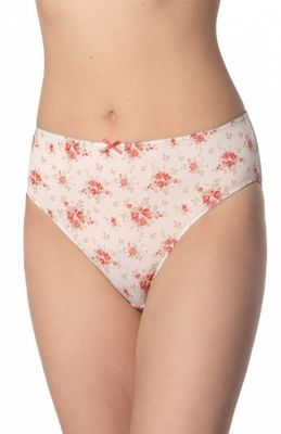 Majtki damskie klasyczne lama ze sklepu: intimiti.pl w kategorii: Majtki damskie - zdjęcie 3B4B001-93A-4736_255695