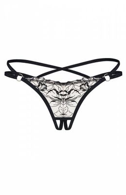 Majtki damskie eleganckie Obsessive ze sklepu: intimiti.pl w kategorii: Majtki damskie - zdjęcie 3B4B001-93A-4736_256593