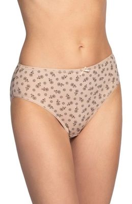 Majtki damskie lama ze sklepu: intimiti.pl w kategorii: Majtki damskie