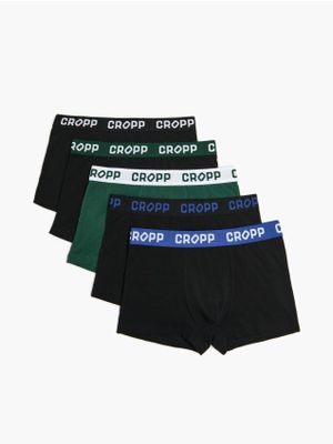 Majtki męskie ze sklepu: Cropp w kategorii: Majtki męskie - zdjęcie 4198BBB-532-6969_444FZ-79X