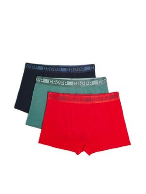 Majtki męskie zimowy ze sklepu: Cropp w kategorii: Majtki męskie - zdjęcie 4198BBB-532-6969_454FZ-59X