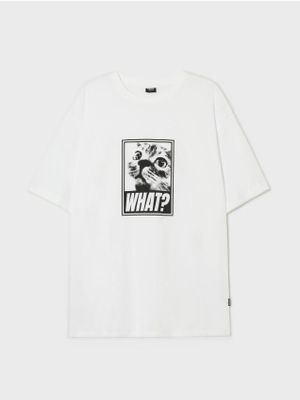 T-shirt męski młodzieżowy ze sklepu: Cropp w kategorii: T-shirty męskie - zdjęcie 4198BBB-532-6969_528DE-00X