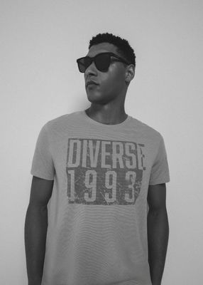 T-shirt męski Diverse ze sklepu: Diverse w kategorii: T-shirty męskie - zdjęcie 44D75FA-DAF-8163_10046857