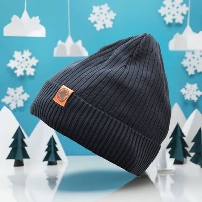 Czapka zimowa męska ze sklepu: Stylion w kategorii: Czapki zimowe męskie - zdjęcie 4D4DD33-06F-2088_3776