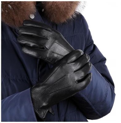 Rękawiczki ze sklepu: Stylion w kategorii: Rękawiczki męskie - zdjęcie 4D4DD33-06F-2088_6952