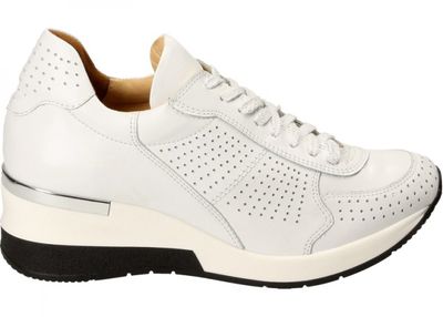 Buty sportowe damskie jesienne wiosenne Darbut ze sklepu: Darbut w kategorii: Buty sportowe damskie - zdjęcie 4EFD8BE-A55-9847_19402