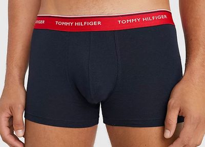 Majtki męskie Tommy Hilfiger ze sklepu: Darbut w kategorii: Majtki męskie - zdjęcie 4EFD8BE-A55-9847_23161