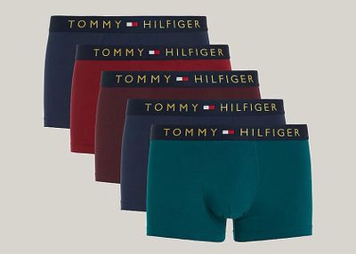 Majtki męskie Tommy Hilfiger ze sklepu: Darbut w kategorii: Majtki męskie - zdjęcie 4EFD8BE-A55-9847_25670