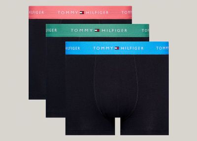 Majtki męskie Tommy Hilfiger ze sklepu: Darbut w kategorii: Majtki męskie - zdjęcie 4EFD8BE-A55-9847_25664
