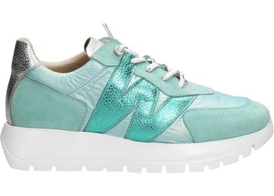 Buty sportowe damskie jesienne Wonders ze sklepu: Darbut w kategorii: Buty sportowe damskie - zdjęcie 4EFD8BE-A55-9847_27573