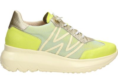 Buty sportowe damskie wiosenne Wonders ze sklepu: Darbut w kategorii: Buty sportowe damskie - zdjęcie 4EFD8BE-A55-9847_27574