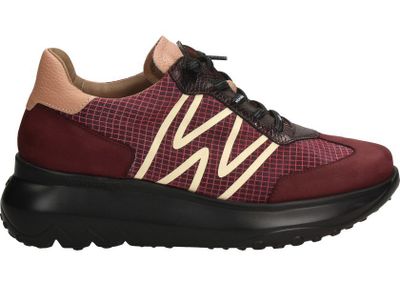 Buty sportowe damskie jesienne Wonders ze sklepu: Darbut w kategorii: Buty sportowe damskie - zdjęcie 4EFD8BE-A55-9847_28496