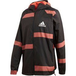Kurtka męska na jesień adidas ze sklepu: SPORT-SHOP.pl w kategorii: Kurtki męskie - zdjęcie 6BAF450-D40-9631_119150