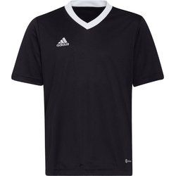 T-shirt chłopięce na lato adidas ze sklepu: SPORT-SHOP.pl w kategorii: T-shirty chłopięce - zdjęcie 6BAF450-D40-9631_127673