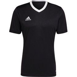 T-shirt męski adidas ze sklepu: SPORT-SHOP.pl w kategorii: T-shirty męskie - zdjęcie 6BAF450-D40-9631_128135