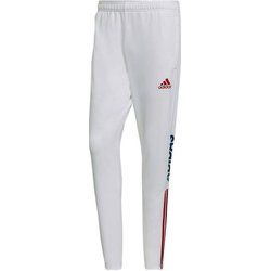 Spodnie męskie jesienne adidas ze sklepu: SPORT-SHOP.pl w kategorii: Spodnie męskie - zdjęcie 6BAF450-D40-9631_135140