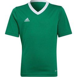 T-shirt chłopięce na lato adidas ze sklepu: SPORT-SHOP.pl w kategorii: T-shirty chłopięce - zdjęcie 6BAF450-D40-9631_143394
