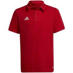 T-shirt chłopięce na lato adidas ze sklepu: SPORT-SHOP.pl w kategorii: T-shirty chłopięce - zdjęcie 6BAF450-D40-9631_144602