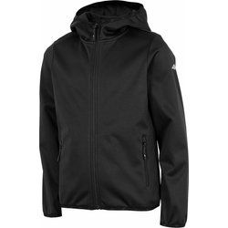 Kurtka chłopięca zimowa 4F ze sklepu: SPORT-SHOP.pl w kategorii: Kurtki chłopięce - zdjęcie 6BAF450-D40-9631_145956