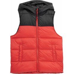 4F - Kamizelka męska casualowa ze sklepu: SPORT-SHOP.pl w kategorii: Kamizelki męskie - zdjęcie 6BAF450-D40-9631_153244
