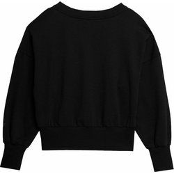 Bluza damska casual 4F ze sklepu: SPORT-SHOP.pl w kategorii: Bluzy damskie - zdjęcie 6BAF450-D40-9631_156585