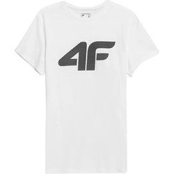 4F - T-shirt męski wiosenny młodzieżowy ze sklepu: SPORT-SHOP.pl w kategorii: T-shirty męskie - zdjęcie 6BAF450-D40-9631_156654