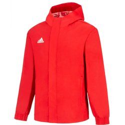 Kurtka męska jesienna adidas ze sklepu: SPORT-SHOP.pl w kategorii: Kurtki męskie - zdjęcie 6BAF450-D40-9631_157087