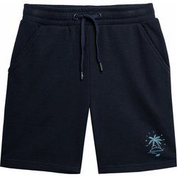 Spodenki chłopięce na lato 4F ze sklepu: SPORT-SHOP.pl w kategorii: Spodenki chłopięce - zdjęcie 6BAF450-D40-9631_157258