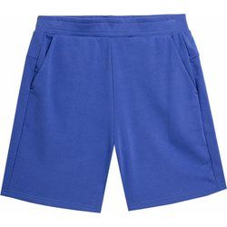 Spodenki męskie w sportowym stylu 4F ze sklepu: SPORT-SHOP.pl w kategorii: Spodenki męskie - zdjęcie 6BAF450-D40-9631_157344