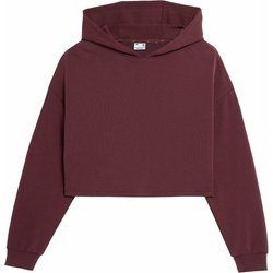 Bluza damska jesienna 4F ze sklepu: SPORT-SHOP.pl w kategorii: Bluzy damskie - zdjęcie 6BAF450-D40-9631_157351