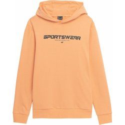 Bluza męska młodzieżowa 4F ze sklepu: SPORT-SHOP.pl w kategorii: Bluzy męskie - zdjęcie 6BAF450-D40-9631_157369